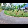 Dijual Tanah Udara dingin Ngargoyoso Karanganyar