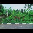 Dijual Tanah Subur di Kedawung Sragen