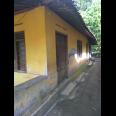 Rumah Joglo Karangpandan Karanganyar