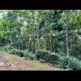 Dijual Tanah 2000m2 Jl Raya Mojogedang Karanganyar