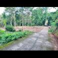 Tanah 1368m² Cocok Untuk Kebun Buah Karanganyar