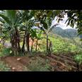 Dijual tanah udara dingin siap bangun villa, homestay dll 