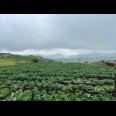 Tanah Wisata Kemuning 1000m View Istimewa 