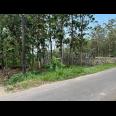 Tanah Super Datar 700m 225Jt Kedawung Sragen 