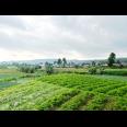  Tanah 442m² Strategis Kawasan Villa Kemuning