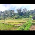 Tanah Subur 6000m² Kawasan Wisata Karangpandan 