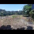 Jual Tanah Kavling di di Daerah Banjar Anyar Tabanan Jual Tanah Kavling di di Daerah Banjar Anyar Tabanan