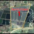 Jual tanah dan Tambak di Pantai blebak jepara