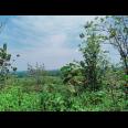 DIJUAL TANAH SUPER DATAR KARANGPANDAN KARANGANYAR