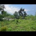 Tanah Strategis 1 Menit Dari Kebun Teh Kemuning 
