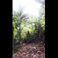 TANAH VIEW KOTA BANDUNG UNTUK RUMAH VILLA DAN KEBUN PRODUKTIF  DI UJUNG BERUNG