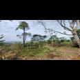 TANAH UNTUK  WISATA RESORT PERKEBUNAN PETERNAKAN  DEKAT JALAN CAGAK SUBANG