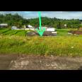 Jual Tanah Dekat Isykarima Karangpandan Karanganyar