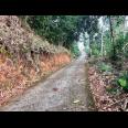 Tanah View Hamparan Sawah 1710m² Karangpandan 