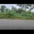 Tanah 705m² Tepi Jl Raya Kerjo- Ngargoyoso Karanganyar