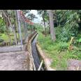  Pekarangan 225 Juta Cocok untuk Kebun Buah Ngargoyoso