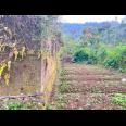 Tanah 800m² View Perkebunan Teh Karanganyar 