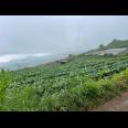 Tanah Wisata Kemuning 1000m View Istimewa 