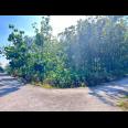  Tanah Kebun Jati 944m² Dekat SMAN 1 Plupuh Sragen