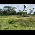 Tanah Super Datar Untuk Gudang 8285m Karanganyar Utara 