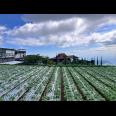 Tanah Pondasi 1010m² Cocok untuk Bangun Villa Wisata 