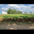 Tanah Super Datar 3889m² Sambirejo Sragen 