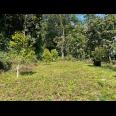 Tanah Idaman 1018m² Dekat Sungai Karanganyar 