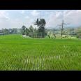 Tanah Datar 600m Timur Kecamatan Kerjo, Karanganyar 