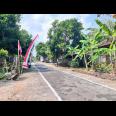 Tanah Datar 350 Juta Cocok Untuk Hunian Sragen 