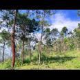 Tanah 4 Hektar Siap Bangun Wahana Wisata Karanganyar 