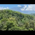 Tanah 82rb/m View Gunung Lawu Karanganyar 