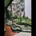 Disewakan Rumah Siap Huni Lokasi Ketintang Permai Surabaya Selatan