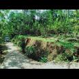 Tanah Kebun Jambu di Kota Wisata Ngargoyoso Karanganyar