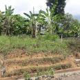 Tanah Murah di Kawasan Sambangan Sukasada Bali
