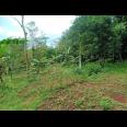 Rumah dan Tanah 5400m2 Karanganyar