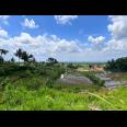 Dijual Tanah Kebun Durian Ngargoyoso Karanganyar