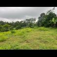 Tanah Super Datar 6723m2 Tepi Jl DPU Kerjo, Solo 