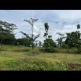 Tanah Super Datar Untuk Gudang 8285m Karanganyar Utara 