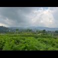 Tanah 1500m² Kawasan Pegunungan Karanganyar 