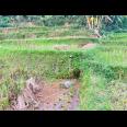Tanah Subur 6000m² Kawasan Wisata Karangpandan 