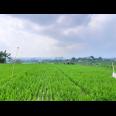 Tanah View Gunung Lawu 1000m Karanganyar Utara 
