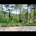 Tanah Murah 9803m 200rb/m Utara Candi Cetho Karanganyar 
