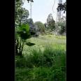 TANAH DI PINGGIR JALAN DEKAT POLITEKNIK SIBER DAN SANDI NEGARA DI CISEENG BOGOR