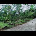 Tanah Kebun Jambu di Kota Wisata Ngargoyoso Karanganyar