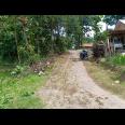 Tanah Cocok untuk Rumah Tinggal Gondang Sragen