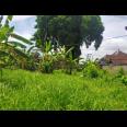 Tanah Murah di Jalan Gede Desa Daerah Mengwi Bali