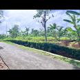 Tanah 1850m² Bonus Bangunan 350 Juta Karanganyar