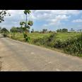 Tanah Super Datar 3889m² Sambirejo Sragen 