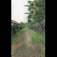 TANAH UNTUK  WISATA RESORT PERKEBUNAN PETERNAKAN  DEKAT JALAN CAGAK SUBANG