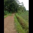 TANAH UNTUK PERUMAHAN DAN PERMUKIMAN DEKAT GT. PAMULIHAN TANJUNGSARI SUMEDANG